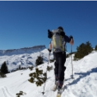 [영상] 한겨울의 스키와 어울리는 음악